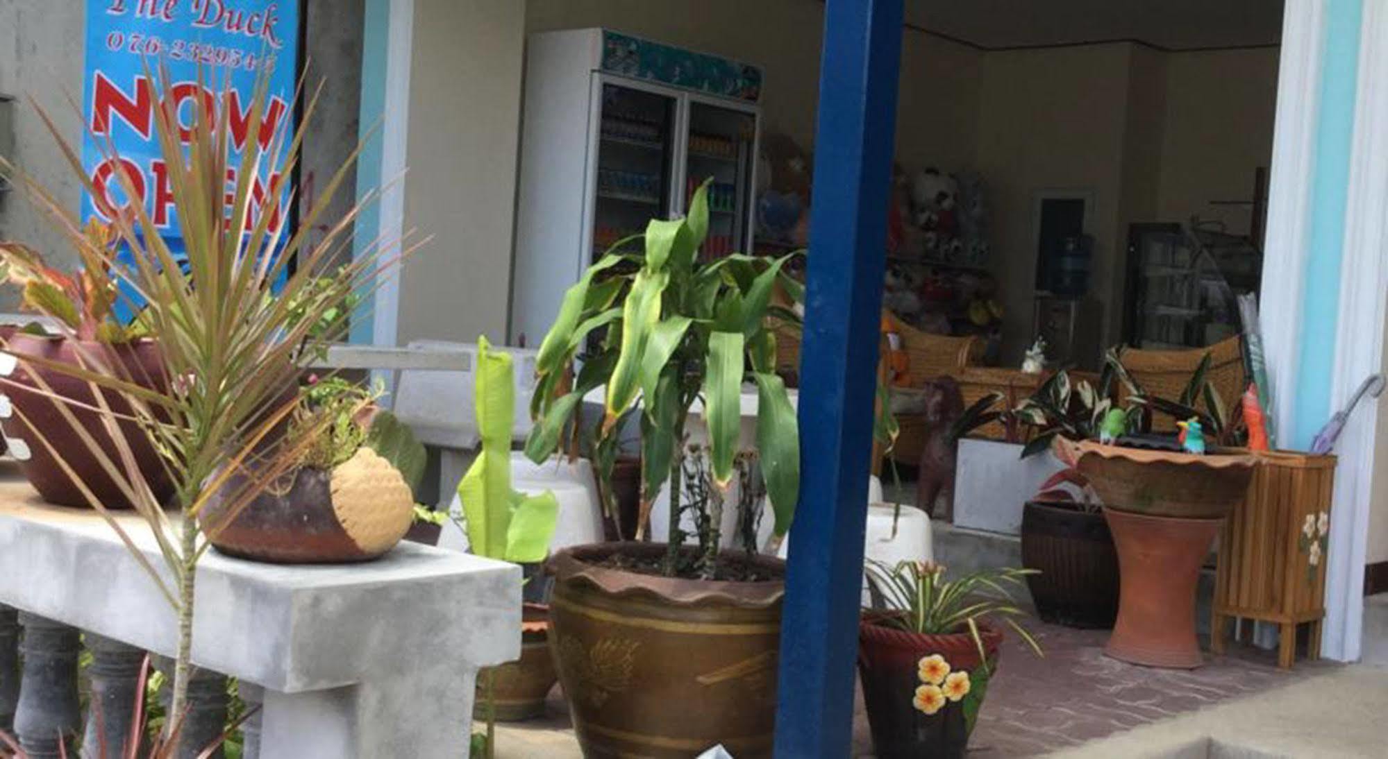 فندق ذا داك Phuket المظهر الخارجي الصورة